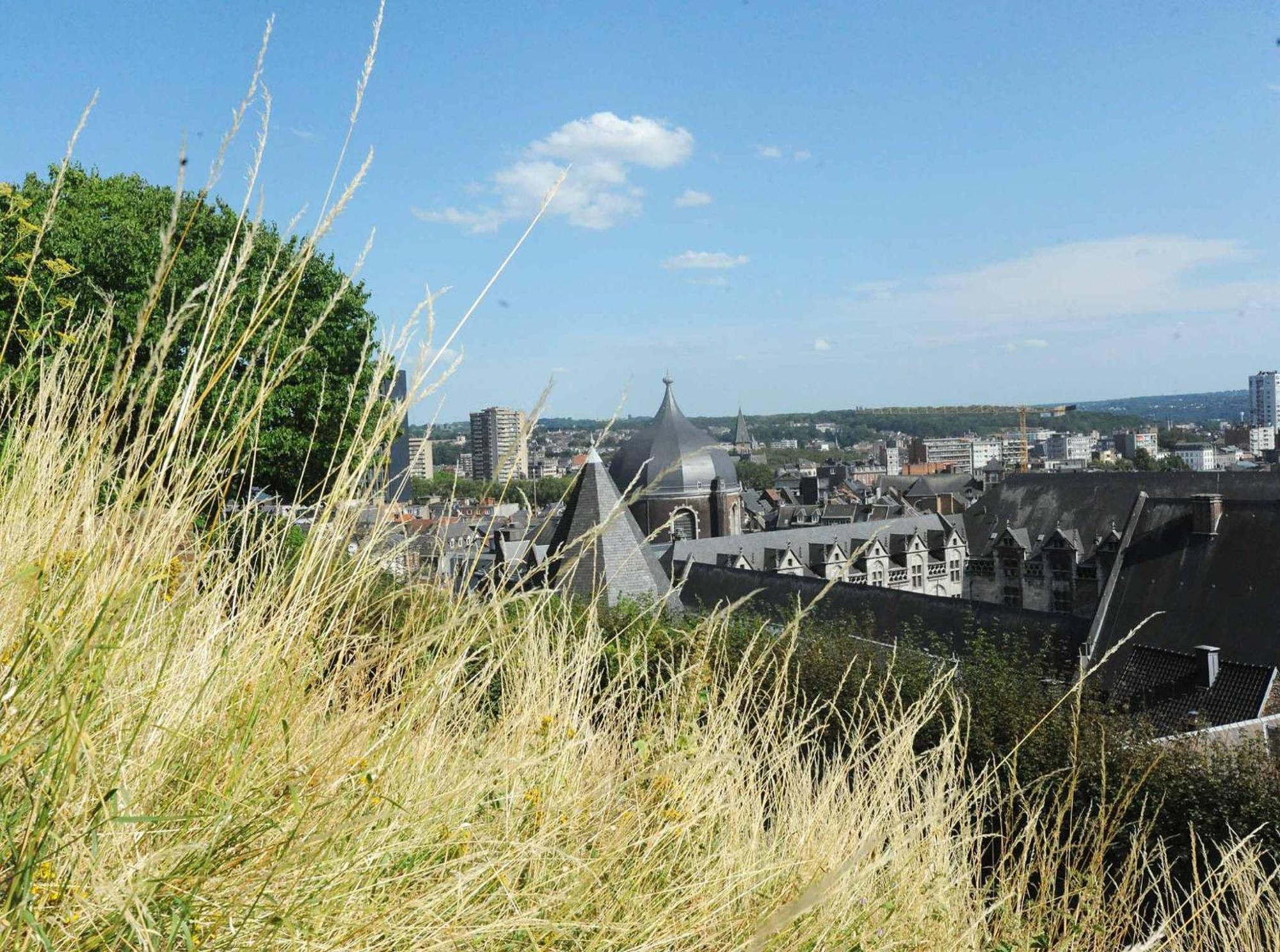 Bonjour Pierreuse Hotel Liege Bagian luar foto